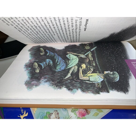 1996 Child Horizons 7 Books Lot Vintage Hardcover Home Schooling Educational - Picture 5 of 11